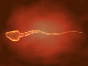 Sperm Motility and Cell Phone Usage