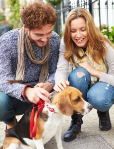 Walking The Dog To Meet Women