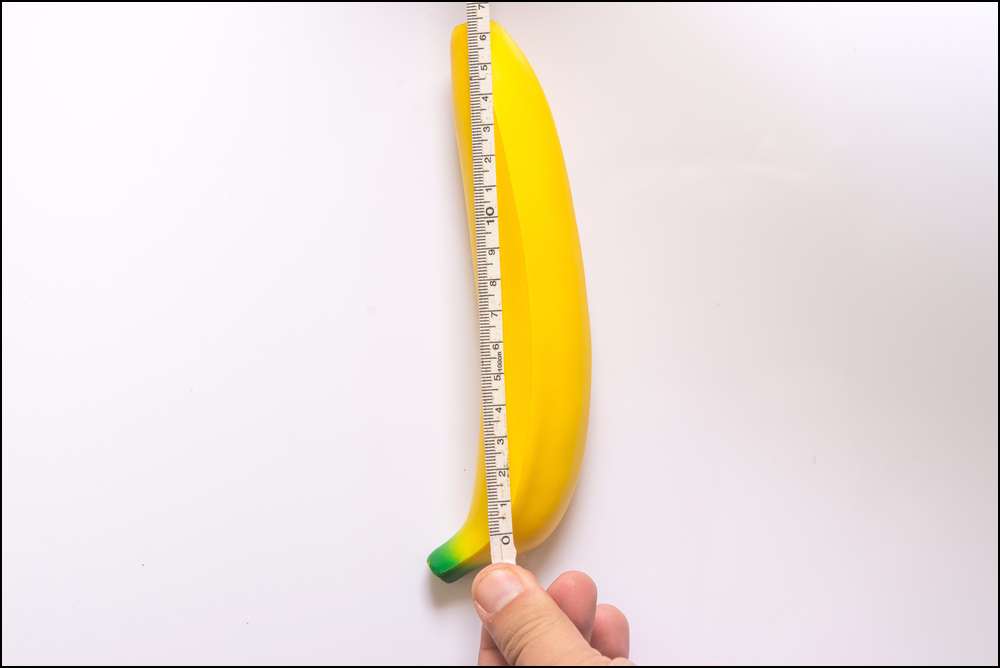 What is the best penis size for women