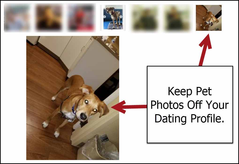 Why using photos of your dog on your profile is bad
