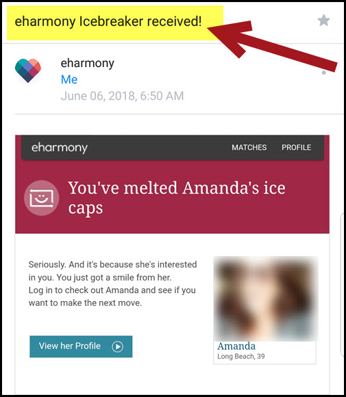 What an icebreaker from a woman on Eharmony looks like