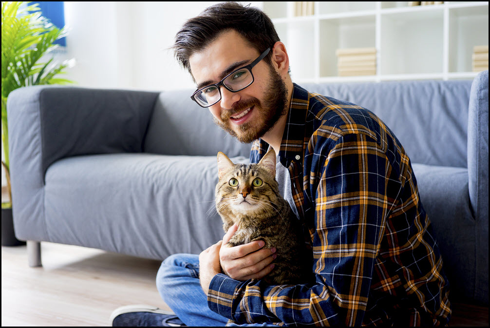 Pictures of cats on your dating profile can boost your results.
