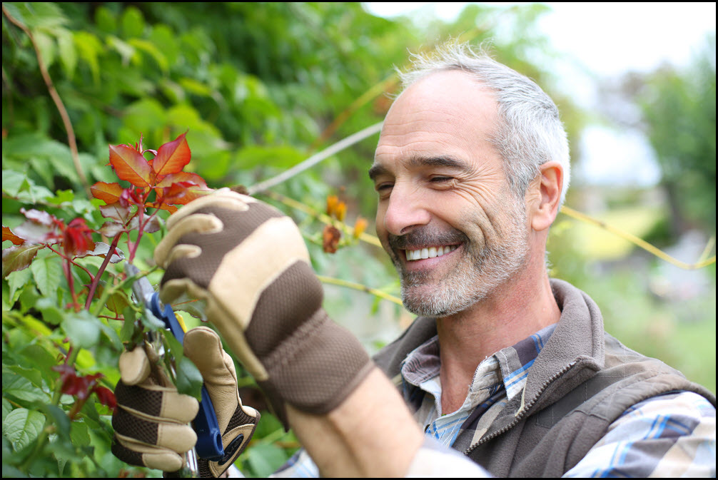 Gardening has been shown to increase responses on dating apps