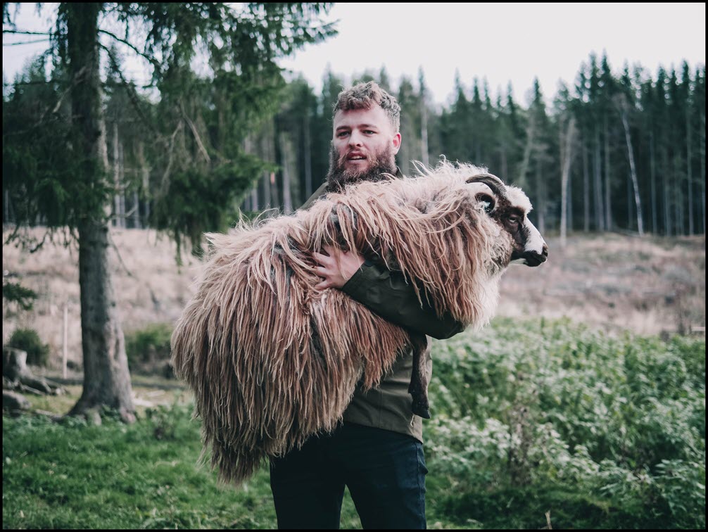 A picture of sheep in your dating profile increases your responses by 328%