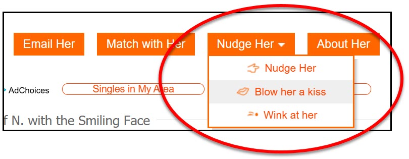 What is a nudge on the Mingle2 dating app?