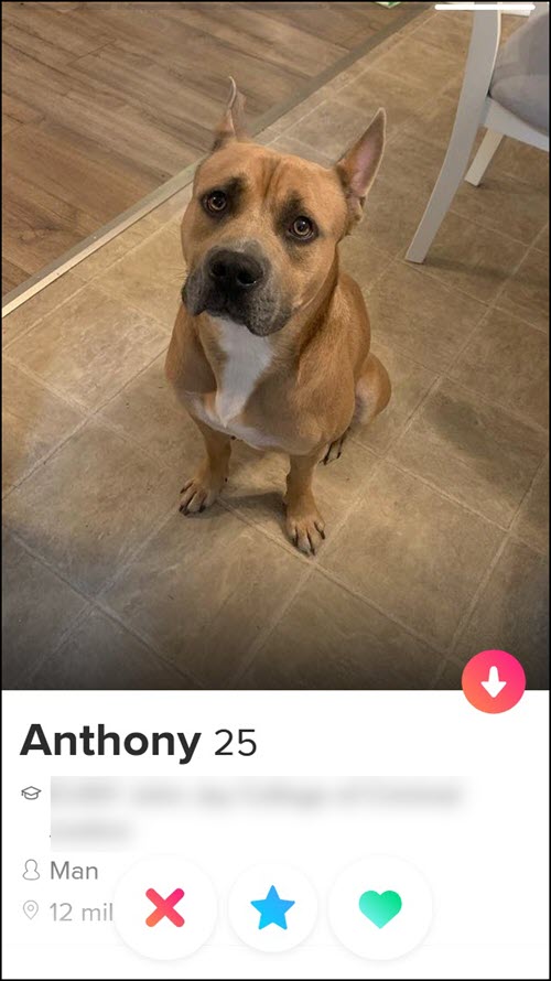 Avoid using pet photos on Tinder.