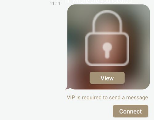 Secret requires a VIP membership to send a message