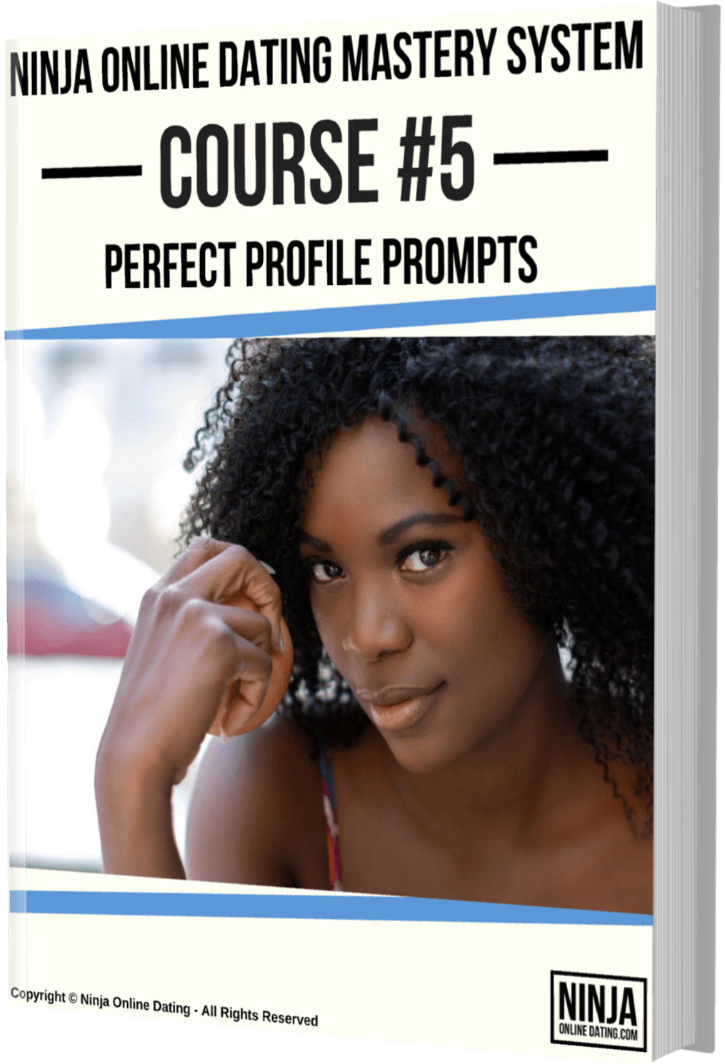 Perfect Profile Prompts