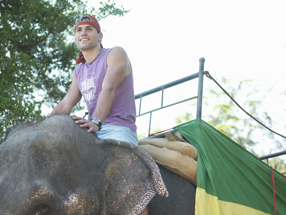 Profile photo tip: Add an elephant to your profile