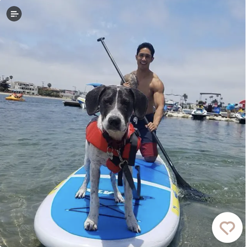 Adding a picture with a dog in your profile is a great tip to get more matches.